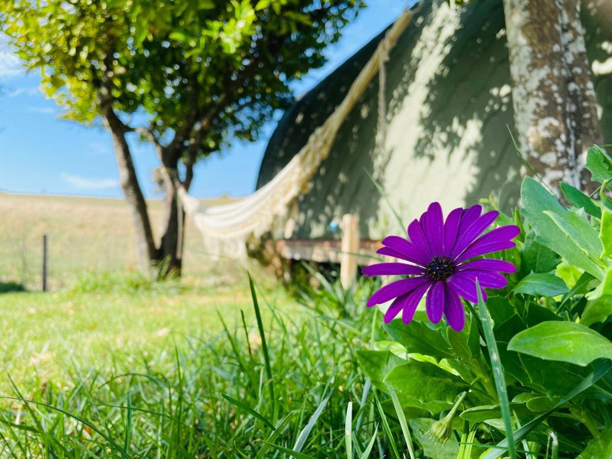Glamping Turquesa, Feel And Relax In A Wood House Guest House Corredoura Exterior foto